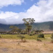  Ngorongoro Crater, TZ